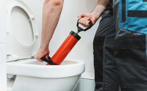 oorzaken verstopte wc