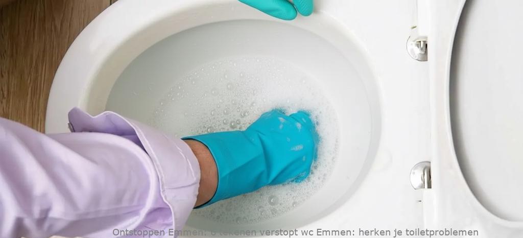 6 tekenen verstopt wc Emmen: herken je toiletproblemen
